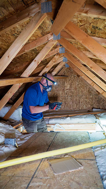 Person inspecting attic with flashlight in moist attic