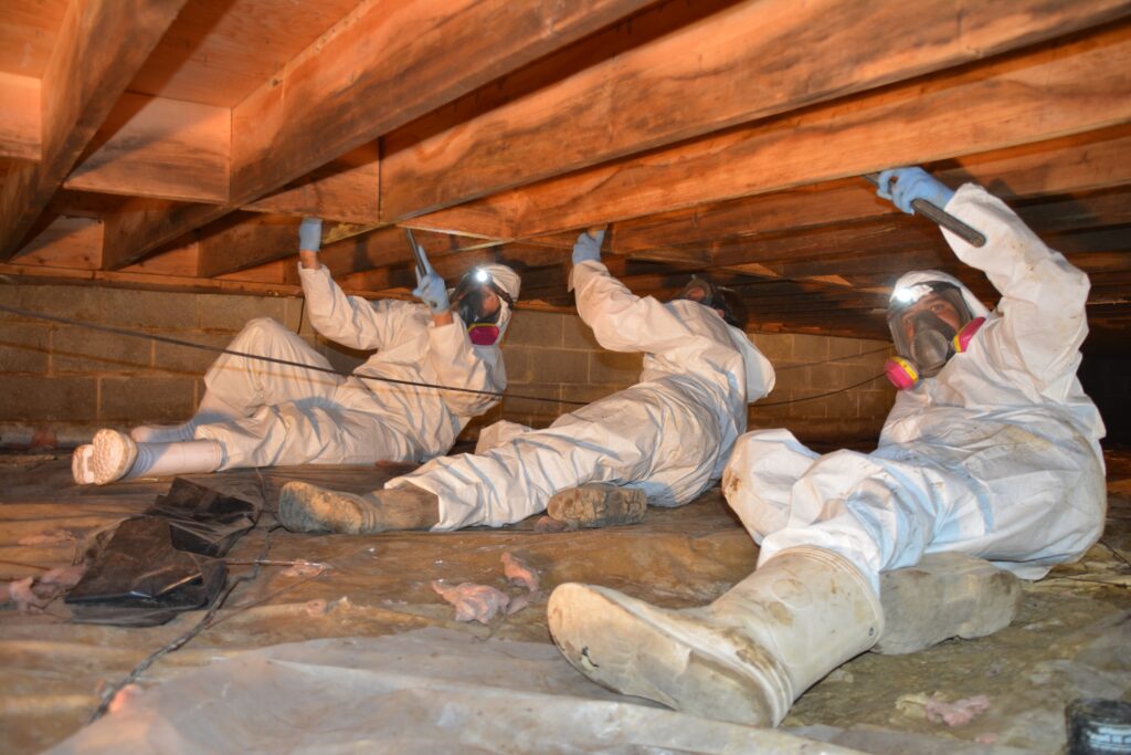 Workers inspecting a crawl space.